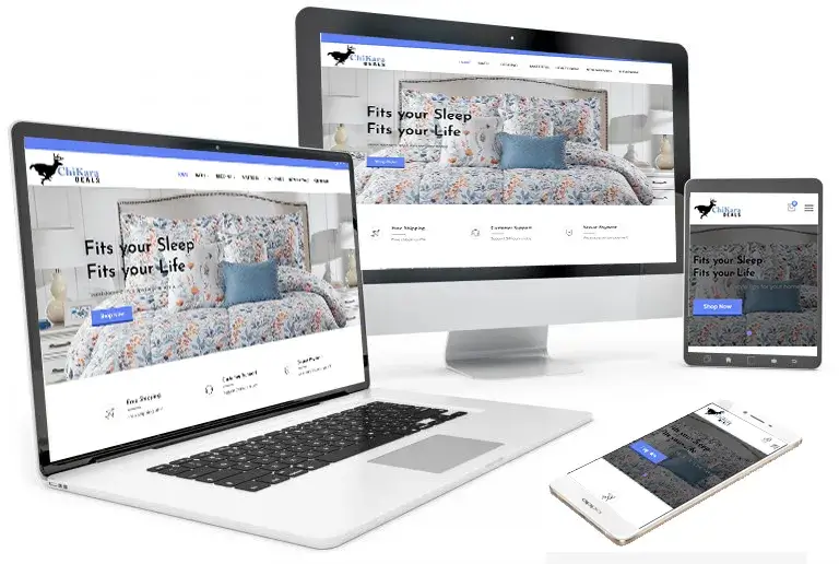 Website Design Company in Kolkata